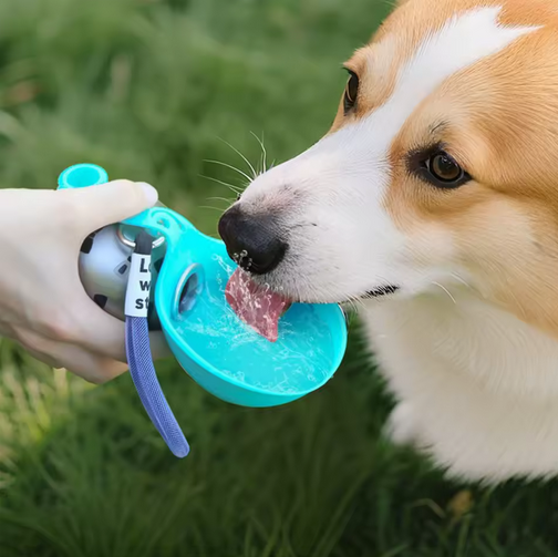 Hunde-Wasserflasche